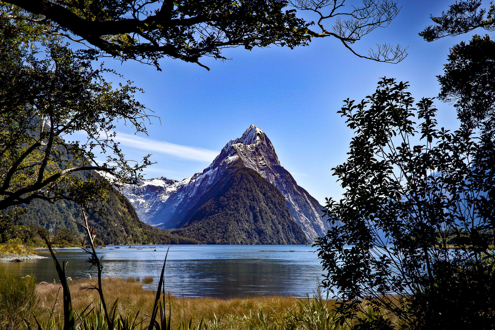 9-day-new-zealand-highlights-tour-scenic-pacific-tours